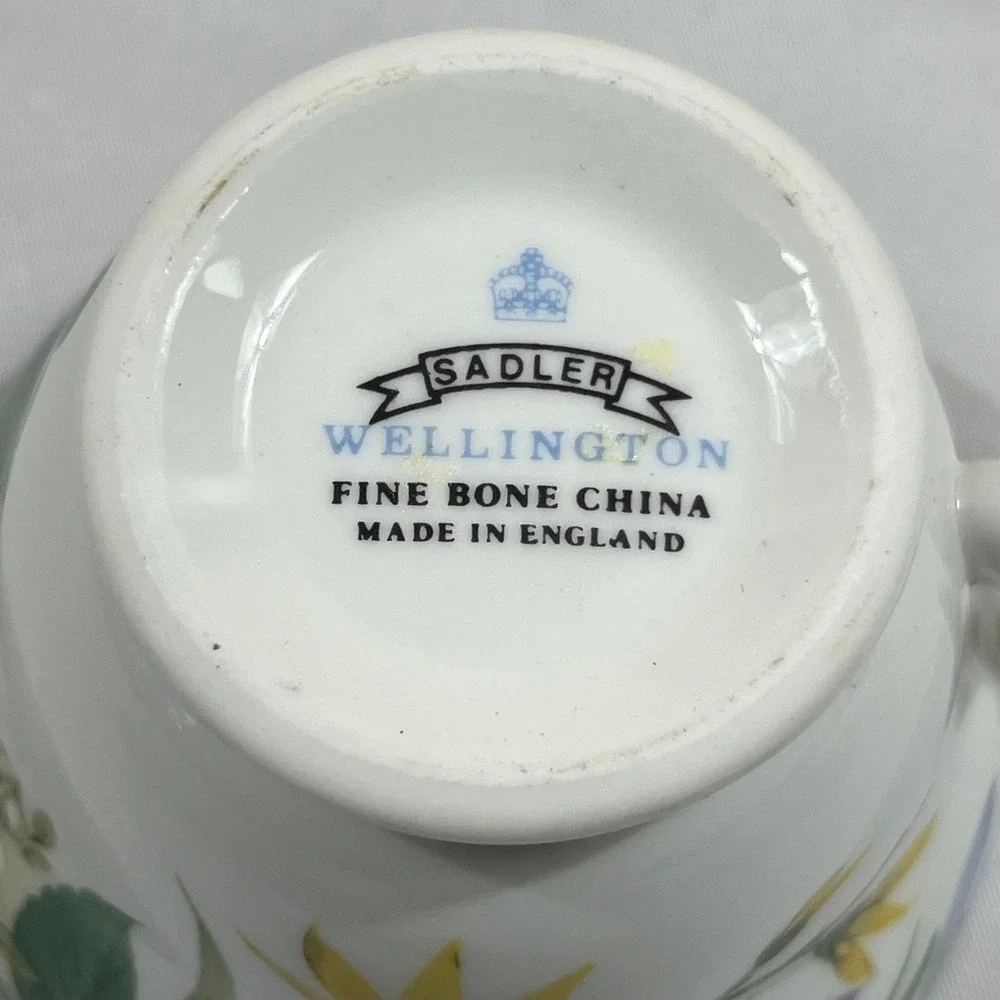 Sadler Tea Cup Saucer Set Multicolor Floral Wellington Bone China